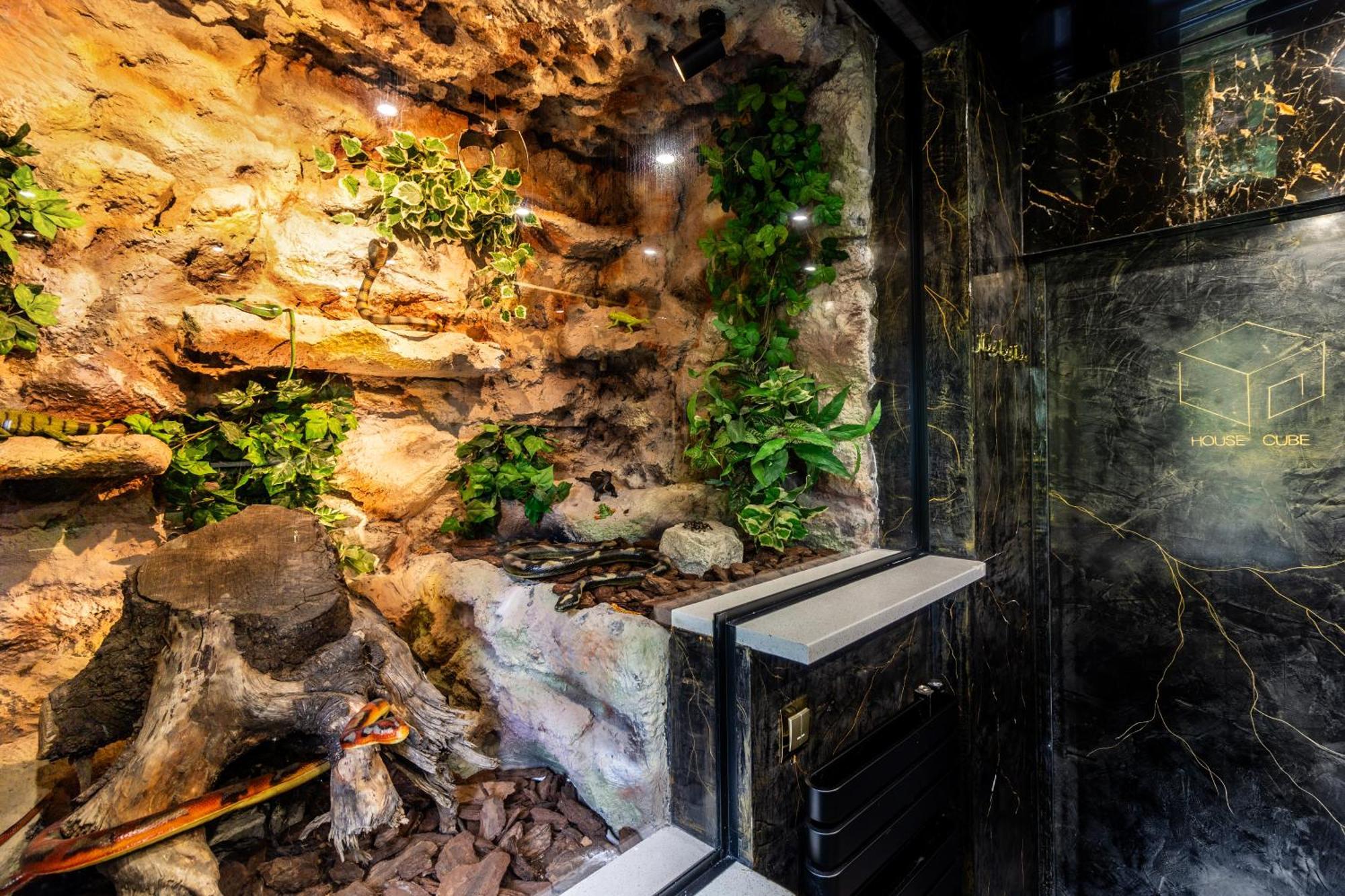 Vila Housecube, Bar , Prywatne Kino, Bilard , Luxus Vratislav Exteriér fotografie